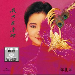 我只在乎你 (SACD)