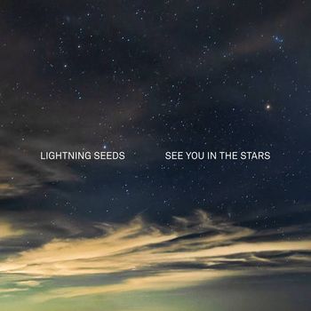 See You in the Stars(LP)