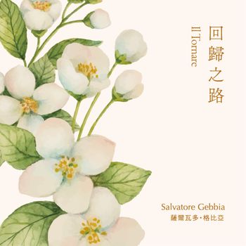 琴聲花語 - 回歸之路