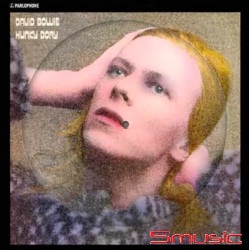 Hunky Dory: 50th Anniversary Picture Disc LP