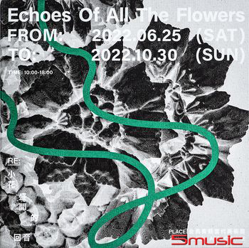 Re：小花盛開的回音 –盛開版