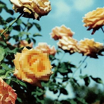 Relation(2025黑膠之日限定盤(2枚組LP))