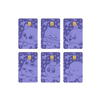 [No Genre]-BBNEXDO卡貼組(韓國進口)