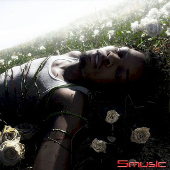 凋零 (白色彩膠)