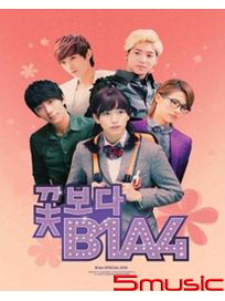 Flower B1A4 2DVD(韓國進口版)