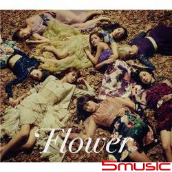 秋風的回應(CD+DVD寫真初回盤)