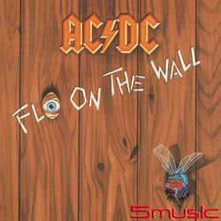 飛越籓籬(進口)