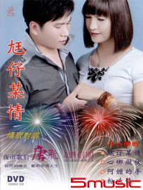尪仔某情(DVD)