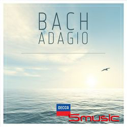 巴哈慢板(2CD)