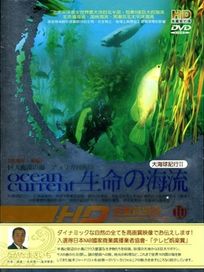 大海球紀行II 生命的海流X-西海岸，美國