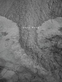 正正CD+攝影集套組