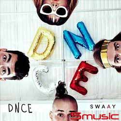 歡樂搖擺(德國進口)