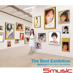 酒井法子30週年紀念精選輯2CD