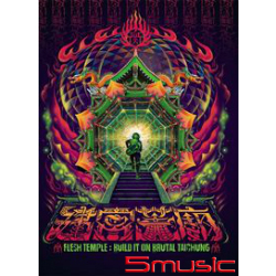 血肉宮:建宮蓋廟演唱會DVD