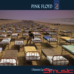 暫時失去理智(2017黑膠)