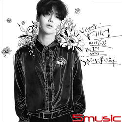 第二張迷你專輯「Spring Falling」(韓國進口普通版)