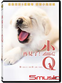 再見了！小Q