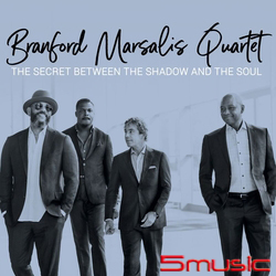 光影與靈韻間的祕密