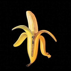 歡迎光臨猴子之家