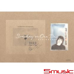 想見你-電視原聲帶  (2CD+卡帶)