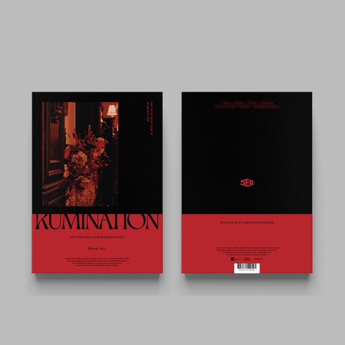 第十張迷你專輯「RUMINATION」(韓國進口Blood版)