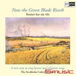 麥田之歌 (黑膠)