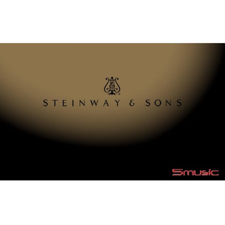 藝術大家系列：史坦威 王者之聲 USB + 精裝套卡