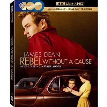 養子不教誰之過 UHD+BD 雙碟修復版