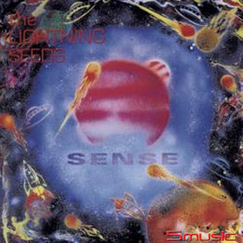 知覺((深藍彩膠)