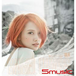 天使之翼(正式發行版)