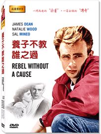 養子不教誰之過