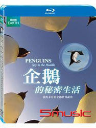 企鵝的秘密生活-(藍光)