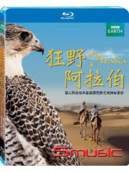 狂野阿拉伯-(藍光)