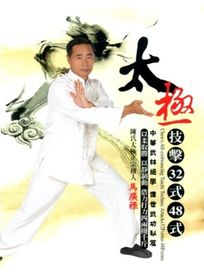 太極技擊32式48式