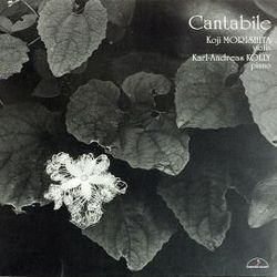 小提琴如歌似的行板