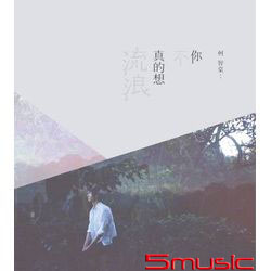 你不真的想流浪