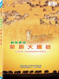 動物星球-草原大遷徙(藍光)