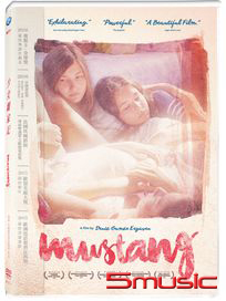 少女離家記 (土耳其電影)