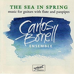 春之海 (吉他演奏)