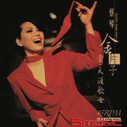 金片子I  (45轉2LP)