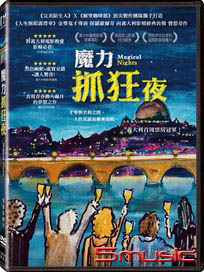 魔力抓狂夜 (意大利電影)