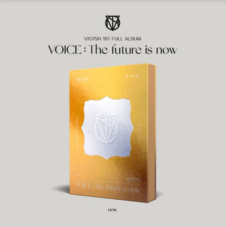 (now版)第一張正規專輯「VOICE : The future is now」
