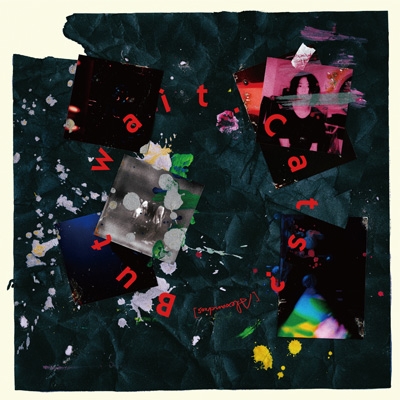 But wait. Cats? 初回限定Blu-ray付盤環球官方進口