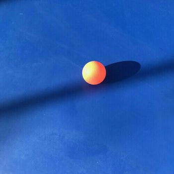 Wallows Singles Collection 2017- 2020 單曲精選 (1LP)