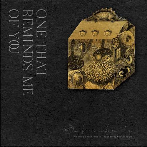 和你蠻像的一隻