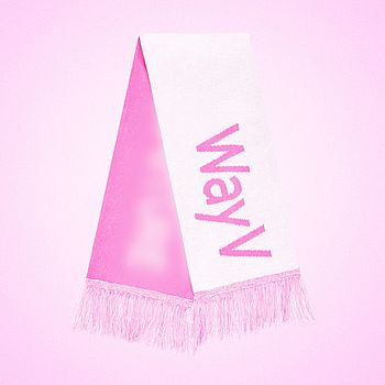 [SMTOWN LIVE 2025 TOUR]-手幅(韓國進口)