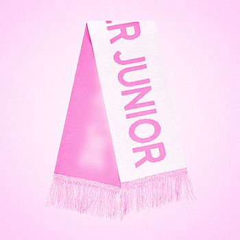 [SMTOWN LIVE 2025 TOUR]-手幅(韓國進口)