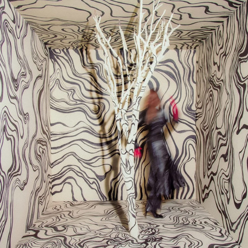 真情啟迪【*2023葛萊美獎最佳民謠專輯Best Folk Album】德國原裝進口