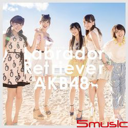 拉布拉多獵犬(Type-B)