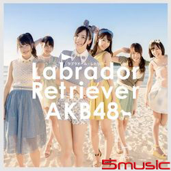 拉布拉多獵犬(Type-K)